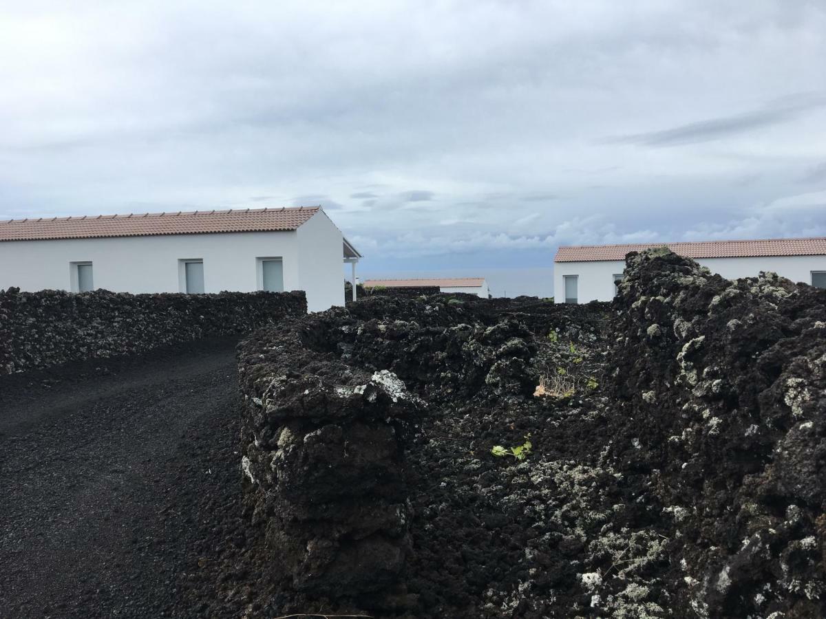 Insula Vinus Apartments Madalena  Exterior photo