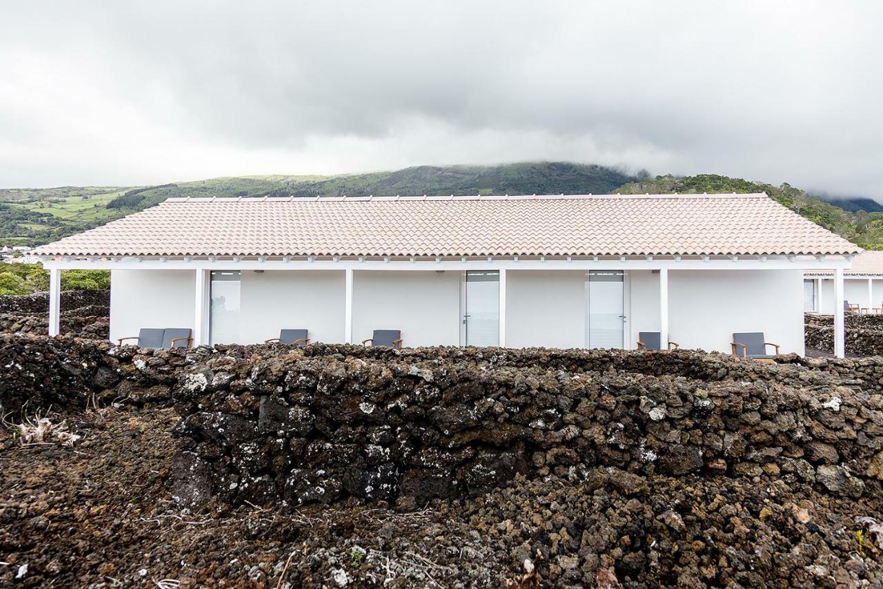 Insula Vinus Apartments Madalena  Exterior photo